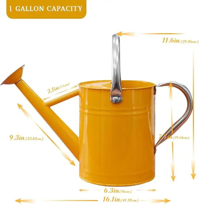 Metal Watering Can, One Gallon Watering Cans Stainless Steel for Outdoor Indoor Garden Plants Watering (Yellow) by GreenHaven Gardens