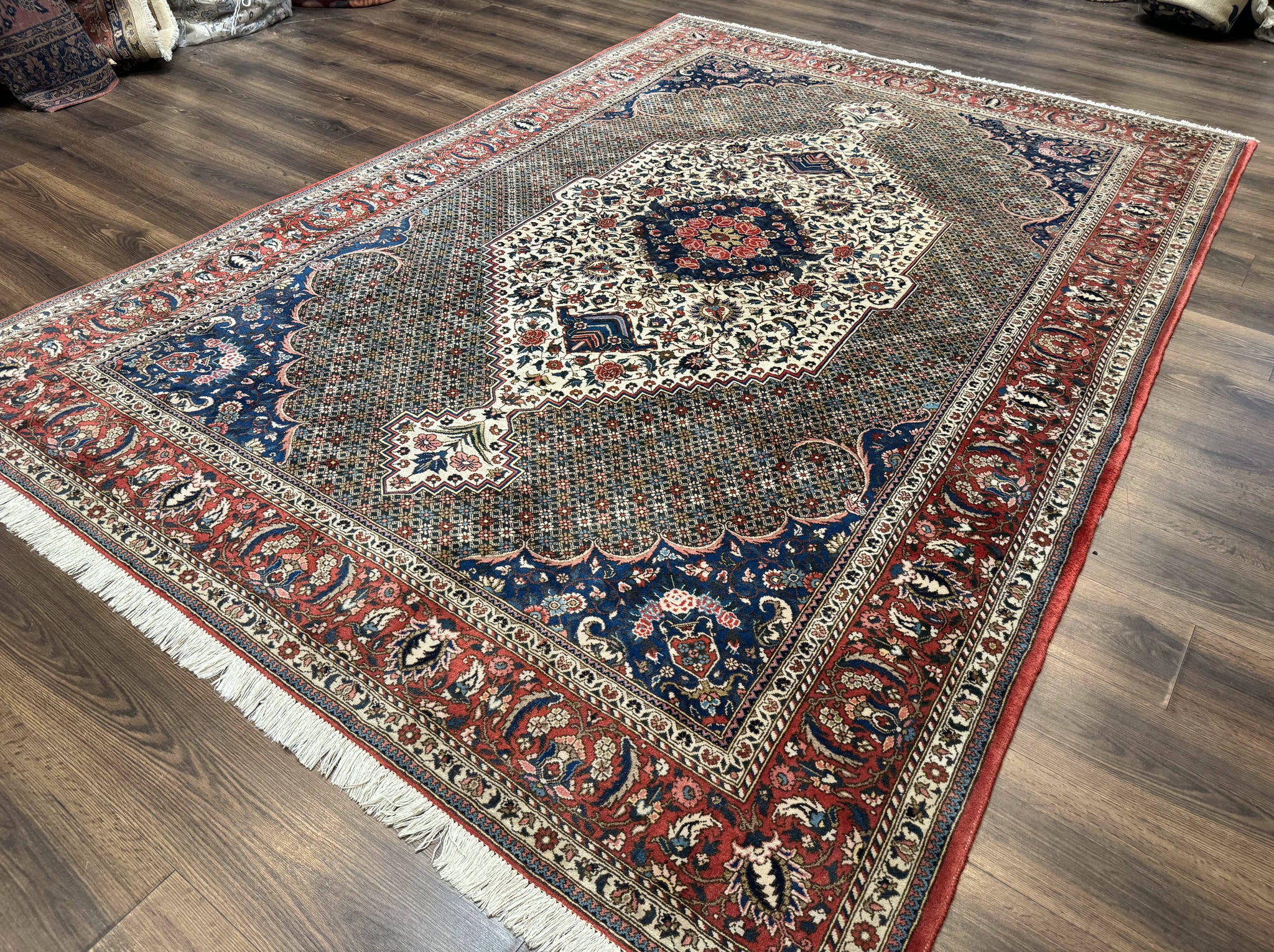 Persian Rug 7x10, Bakhtiari Saman Rug, Unique Design and Colors, Ivory Red Blue, Large Tribal Rug by Jewel Rugs