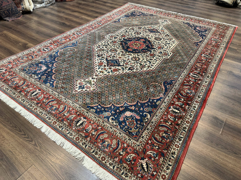 Persian Rug 7x10, Bakhtiari Saman Rug, Unique Design and Colors, Ivory Red Blue, Large Tribal Rug by Jewel Rugs
