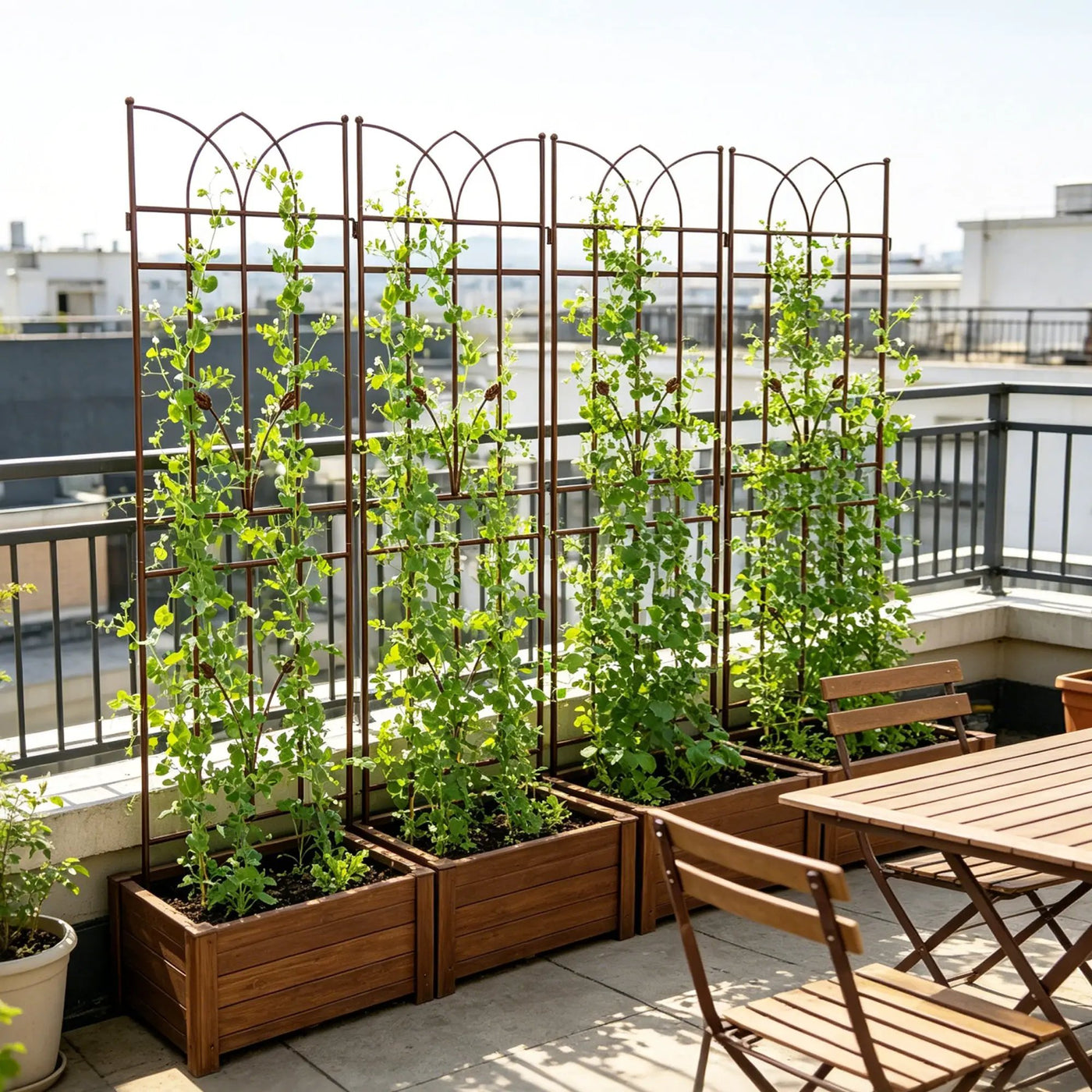 4 Pack Metal Garden Trellis by HouseOfZazla