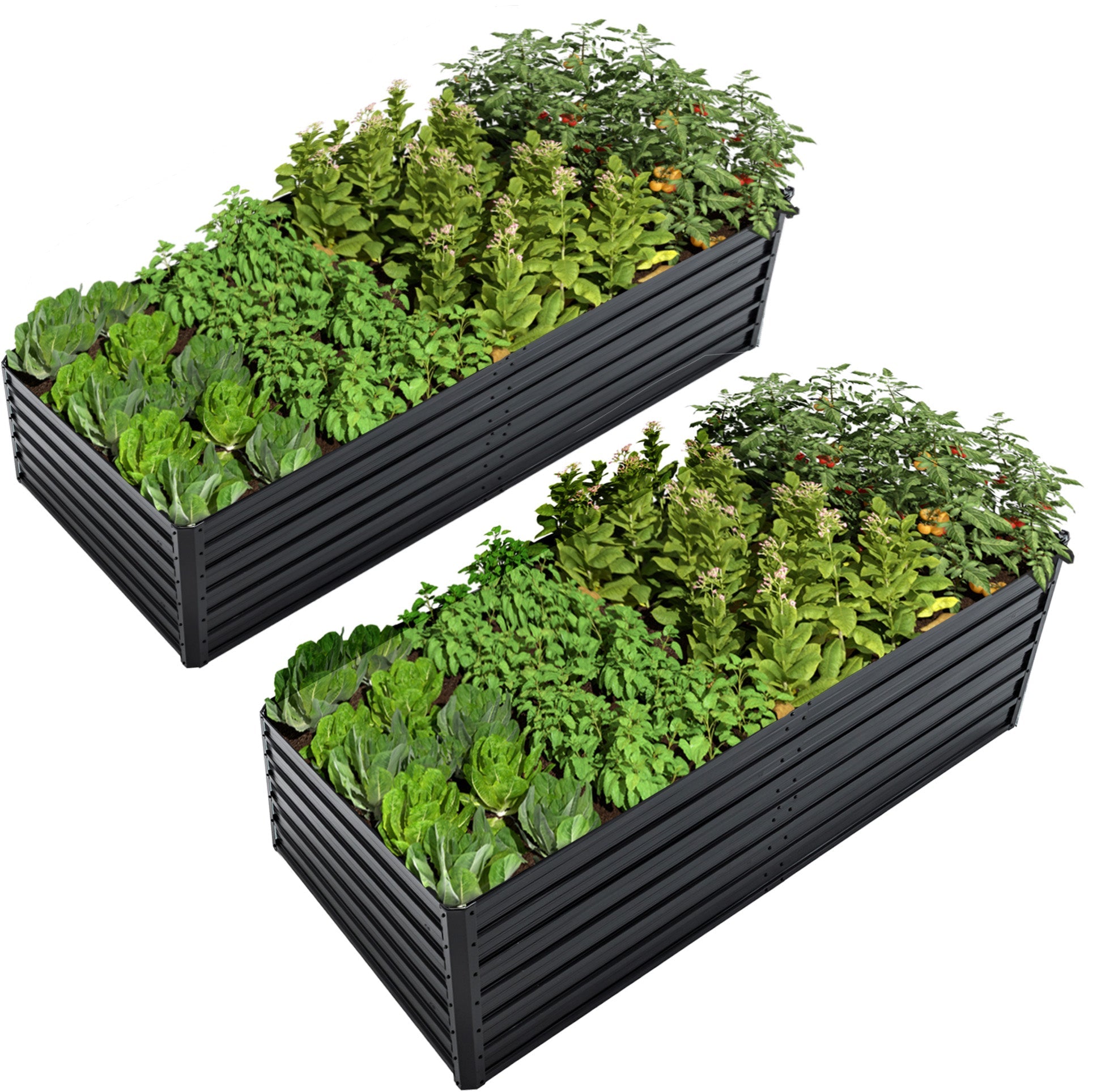 2 Pack Metal Raised Garden Bed Kit Outdoor - 8x4x2 FT Galvanized Planter Boxes Set by HouseOfZazla