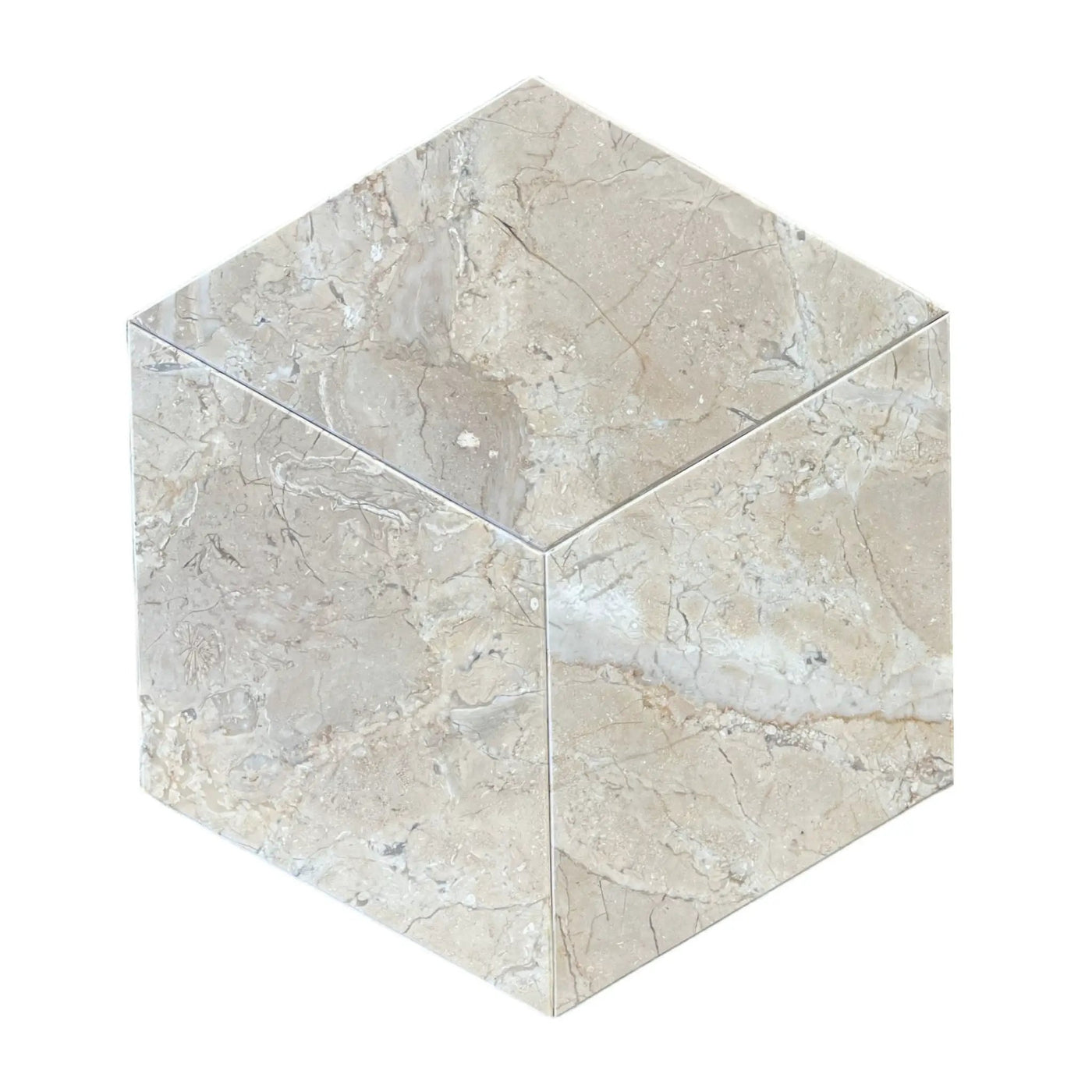 Hexagon Natural Marble Polished Tile For Wall And Floor (Set of 12) by HouseOfZazla