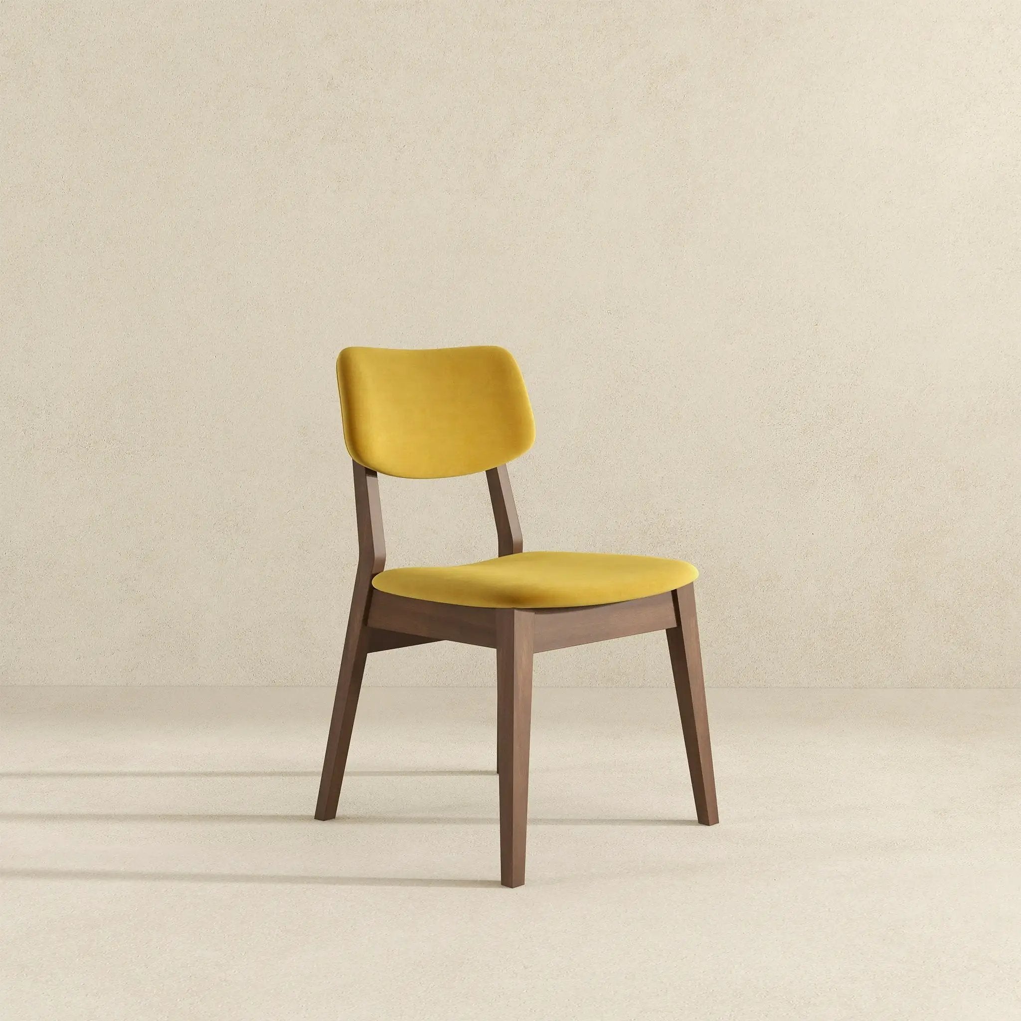 Carlos - Solid Back Side Chair (Set of 2) by HouseOfZazla