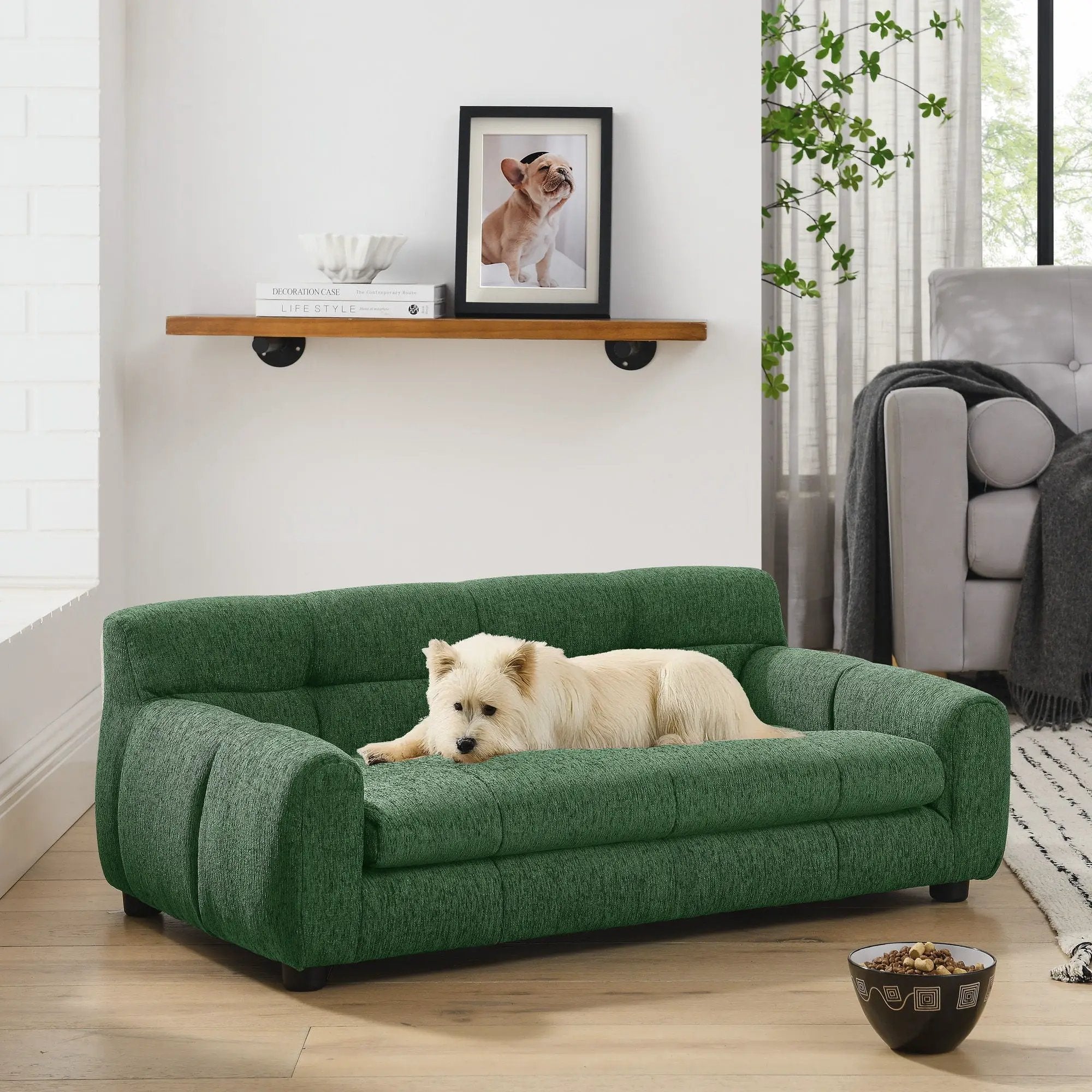 Modern Pet Sofa With Backrest And Armrests by HouseOfZazla