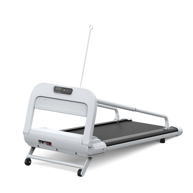 2025 New Quiet Smart Pet Treadmill by HouseOfZazla