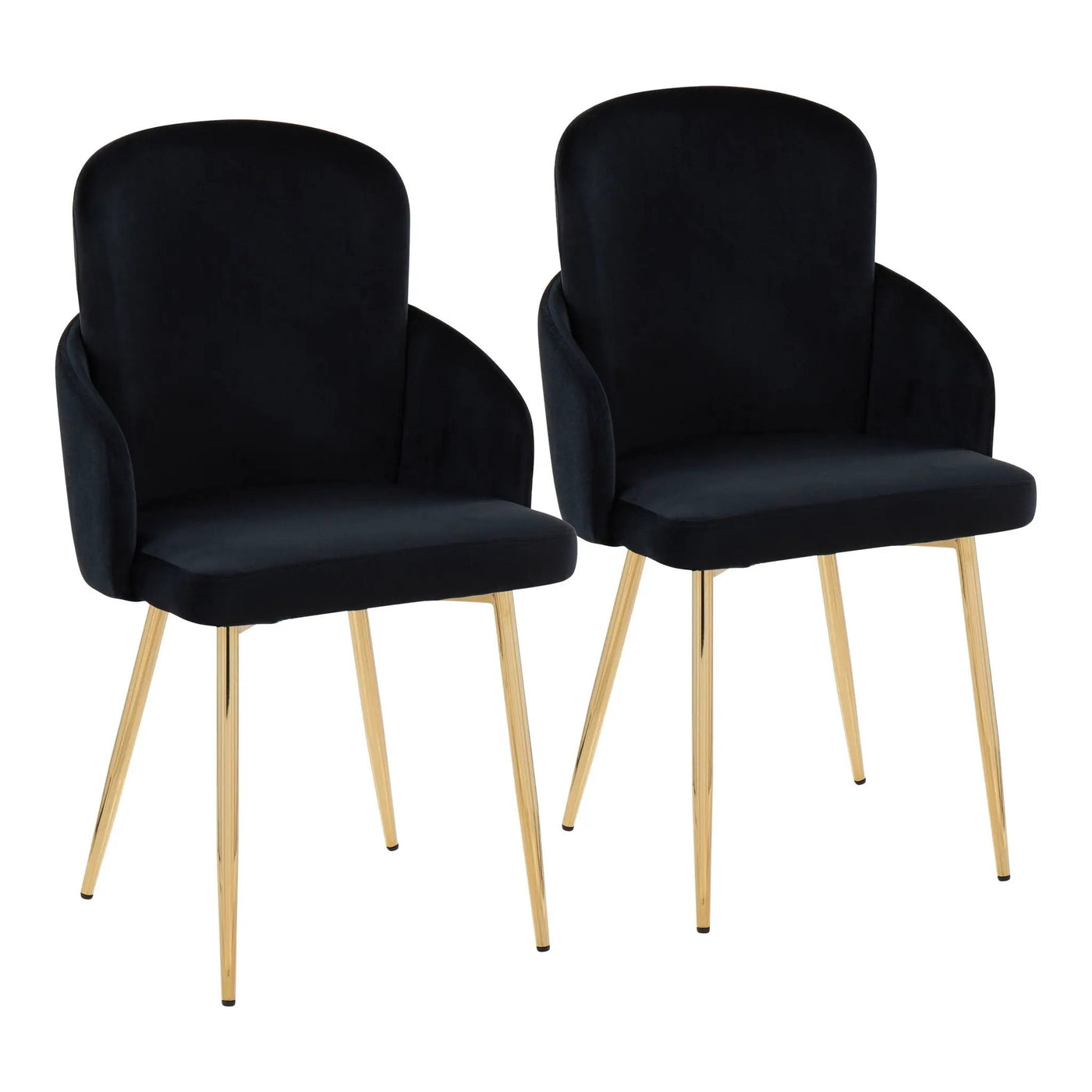 Dahlia - Contemporary Dining Chair (Set of 2) by HouseOfZazla