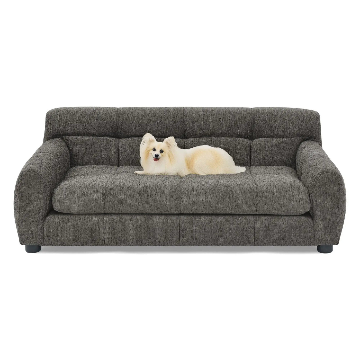 Modern Pet Sofa With Backrest And Armrests by HouseOfZazla