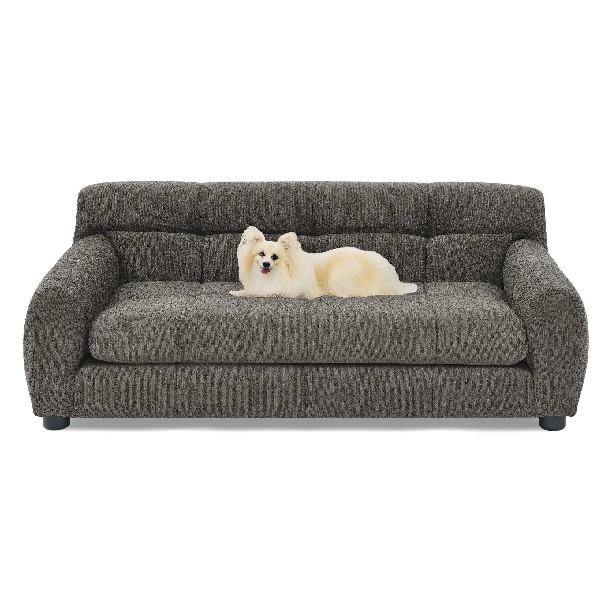Modern Pet Sofa With Backrest And Armrests by HouseOfZazla