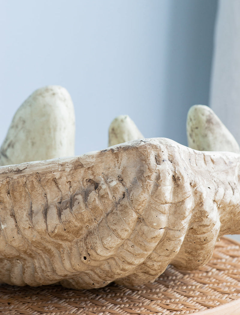 Medium Clam Shell Accent, photo 6 of 10