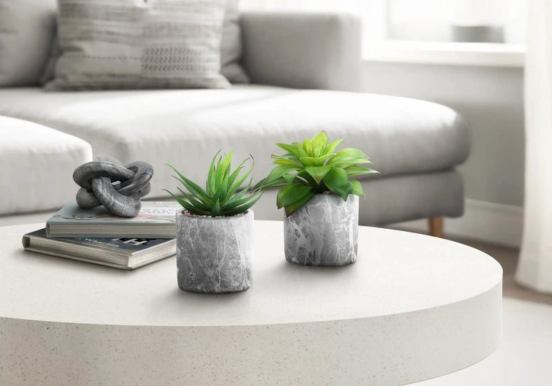 6" Tall Artificial Succulent Plants, Set of 2 by HouseOfZazla