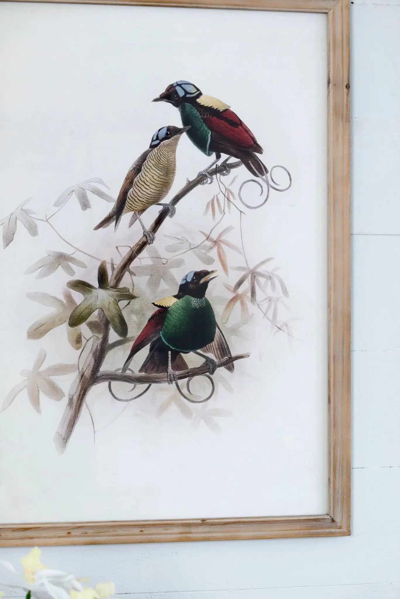 Bird Framed Print (Set of 2) - Multicolor by HouseOfZazla