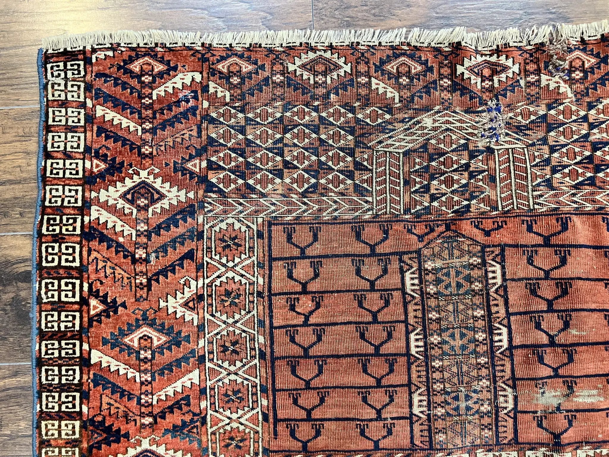 Antique Turkoman Rug 4x4, Hatchli Square Carpet, Wool Handmade Four Season Yamud Design Rug, Red Bohemian Tribal Rug, Engsi Tekkeh Rug by Jewel Rugs