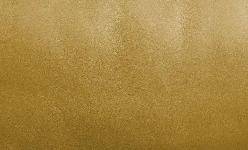 Radia - Sofa With Pillow - Turmeric Top Grain Leather by Unique Piece Furniture