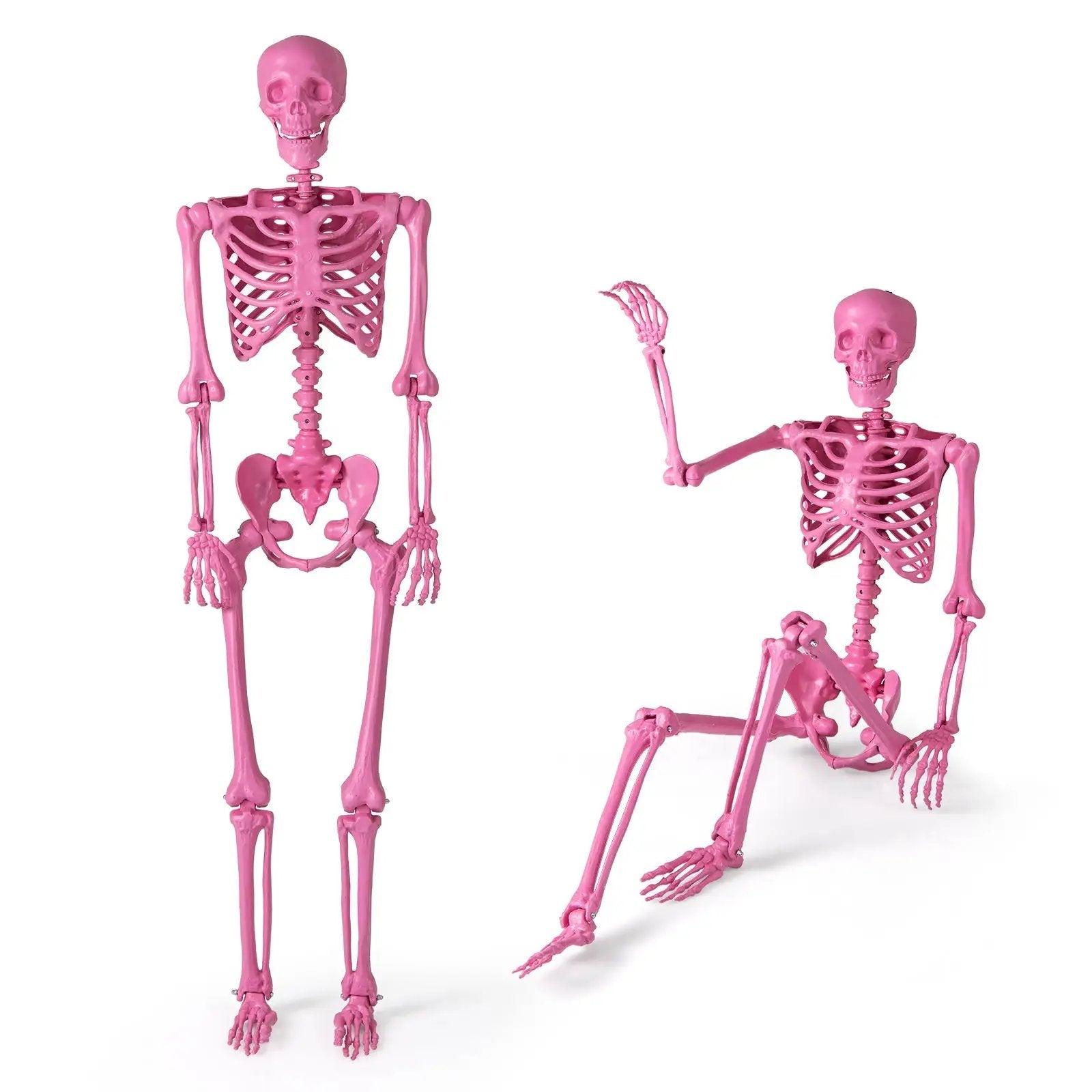 5.5 FT Life-Size Halloween Poseable Skeleton Pink Movable Joints by DirectDeals
