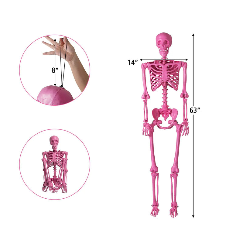 5.5 FT Life-Size Halloween Poseable Skeleton Pink Movable Joints by DirectDeals