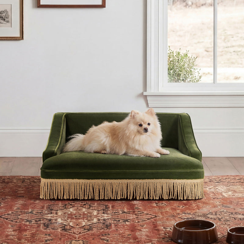 Duchess - Pet Bed Sofa by HouseOfZazla