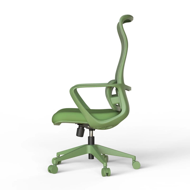 Ergonomic Colorful Office Chair by HouseOfZazla