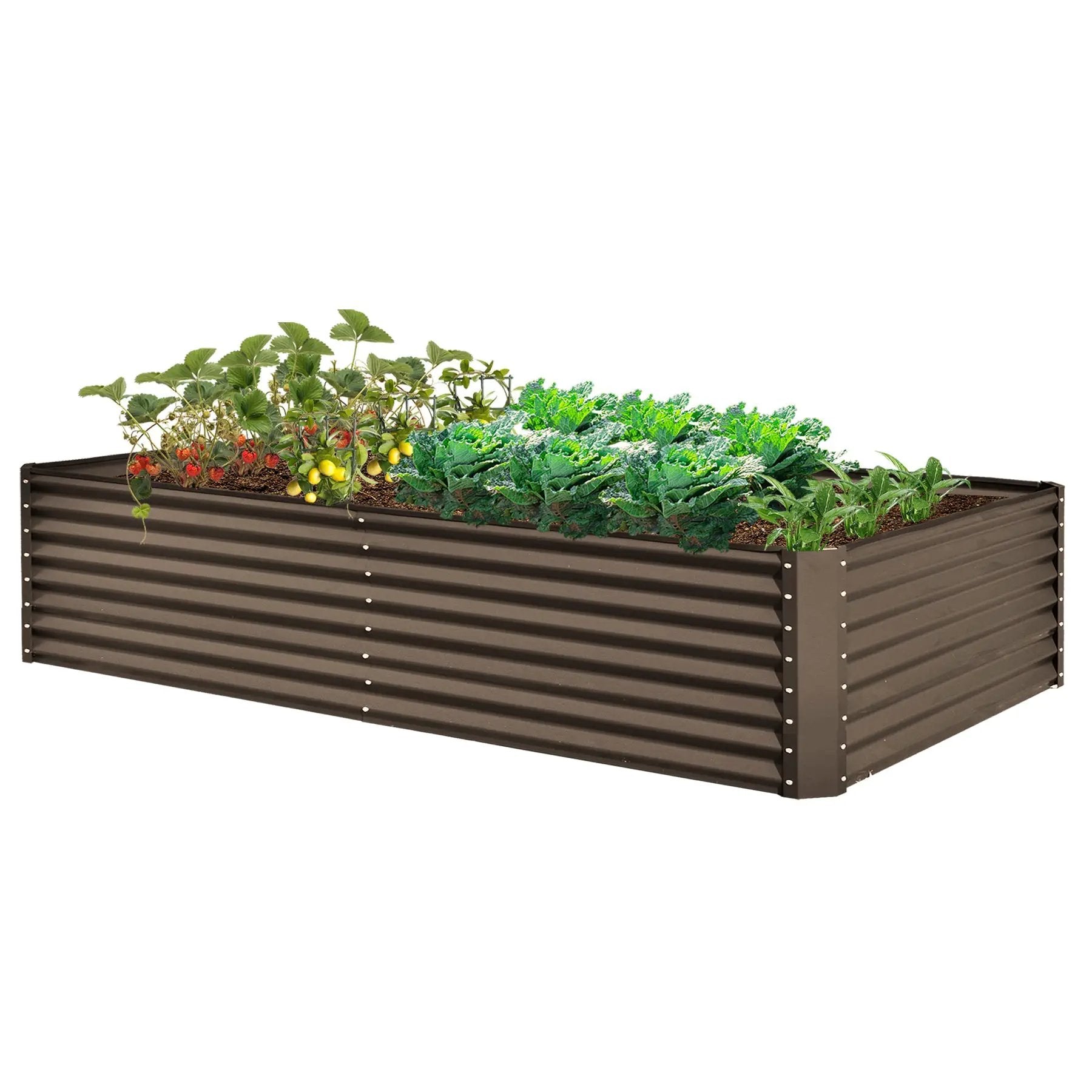 8×4×2 ft Galvanized Raised Garden Bed by HouseOfZazla