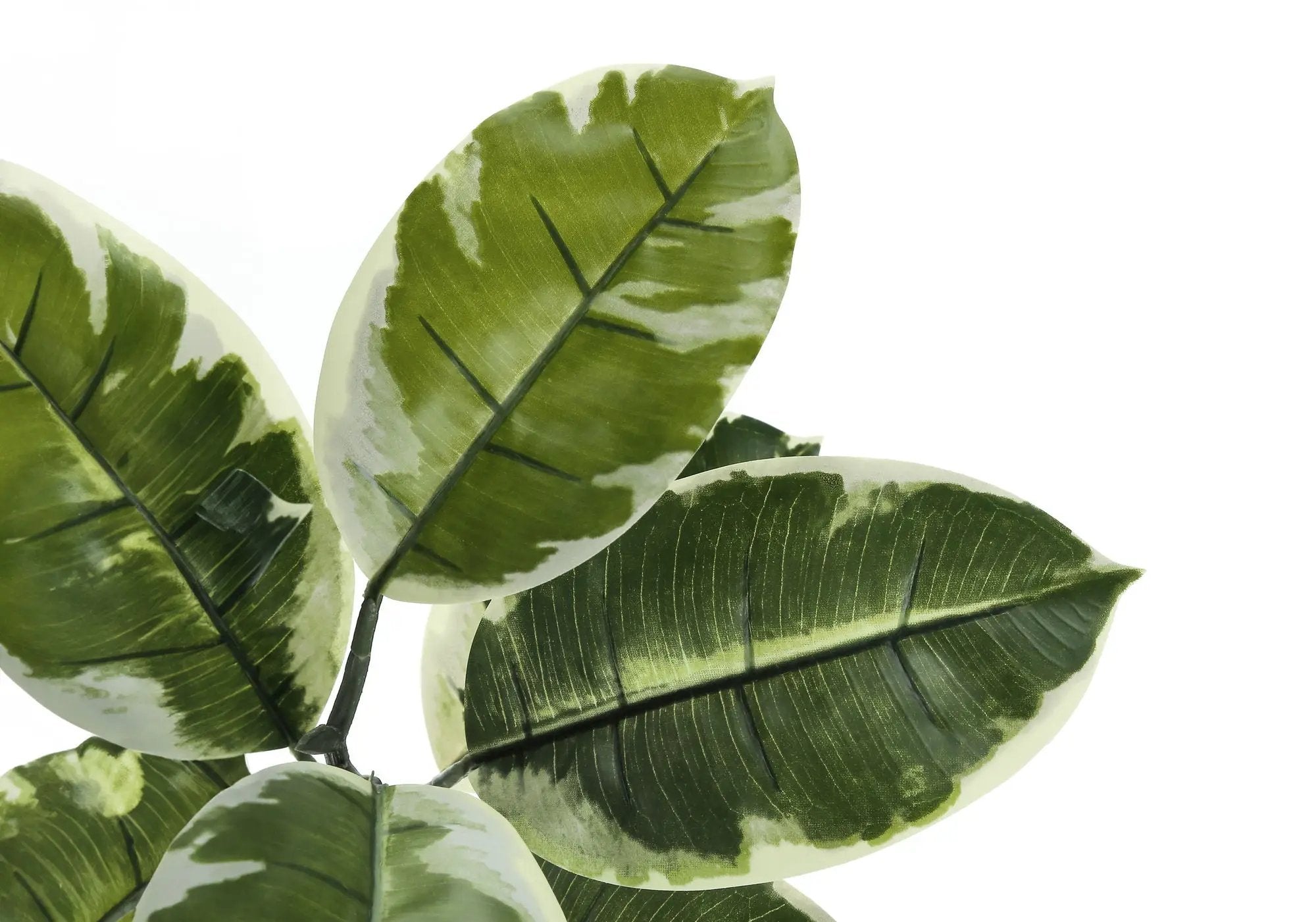52" Tall Artificial Rubber Tree Indoor Plant by HouseOfZazla