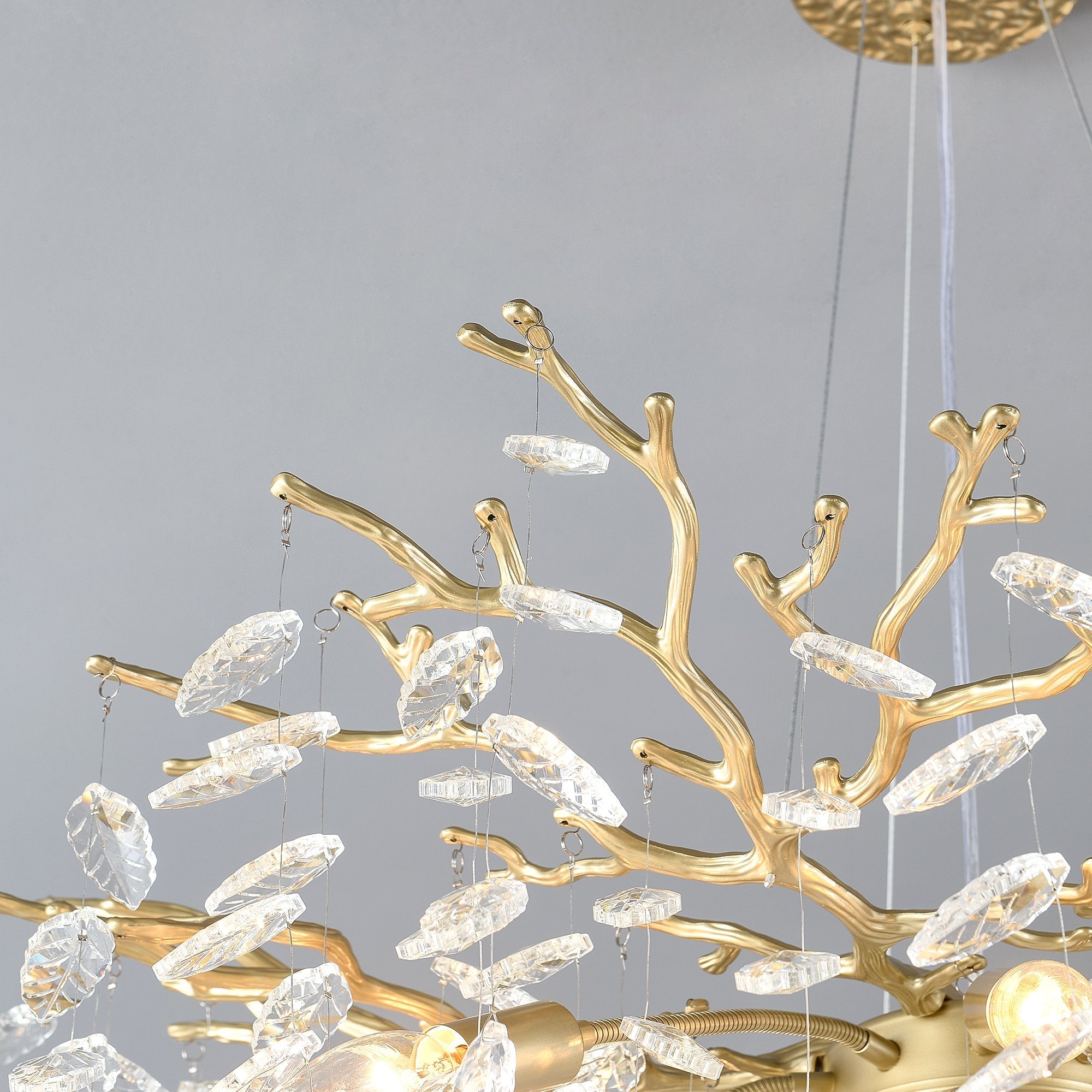 6-Light Chandelier Crystal Ceiling Lamp - Gold Finish by HouseOfZazla