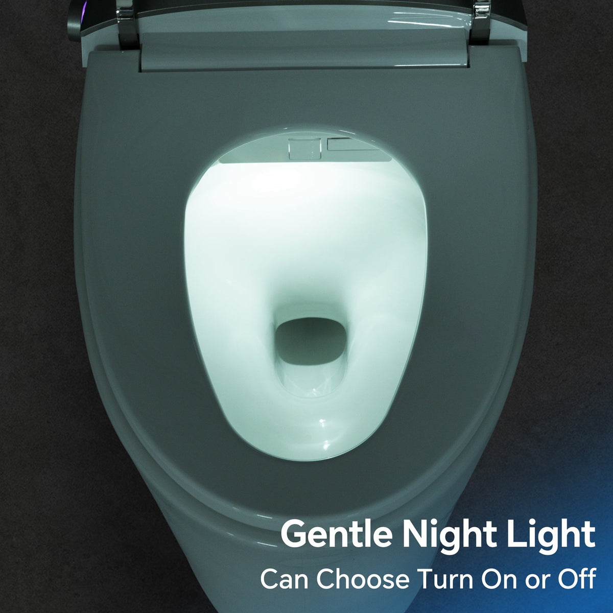 Elongated Smart Toilet with Bidet and Heated Seat, photo 10 of 10