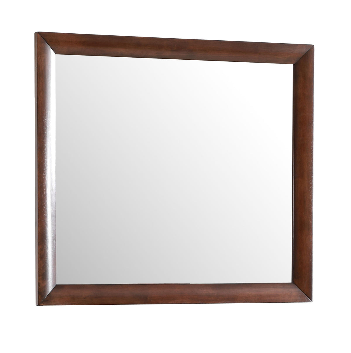 Marilla Mirror with Low Distortion Glass - Dark Brown, Light Brown, White, Black