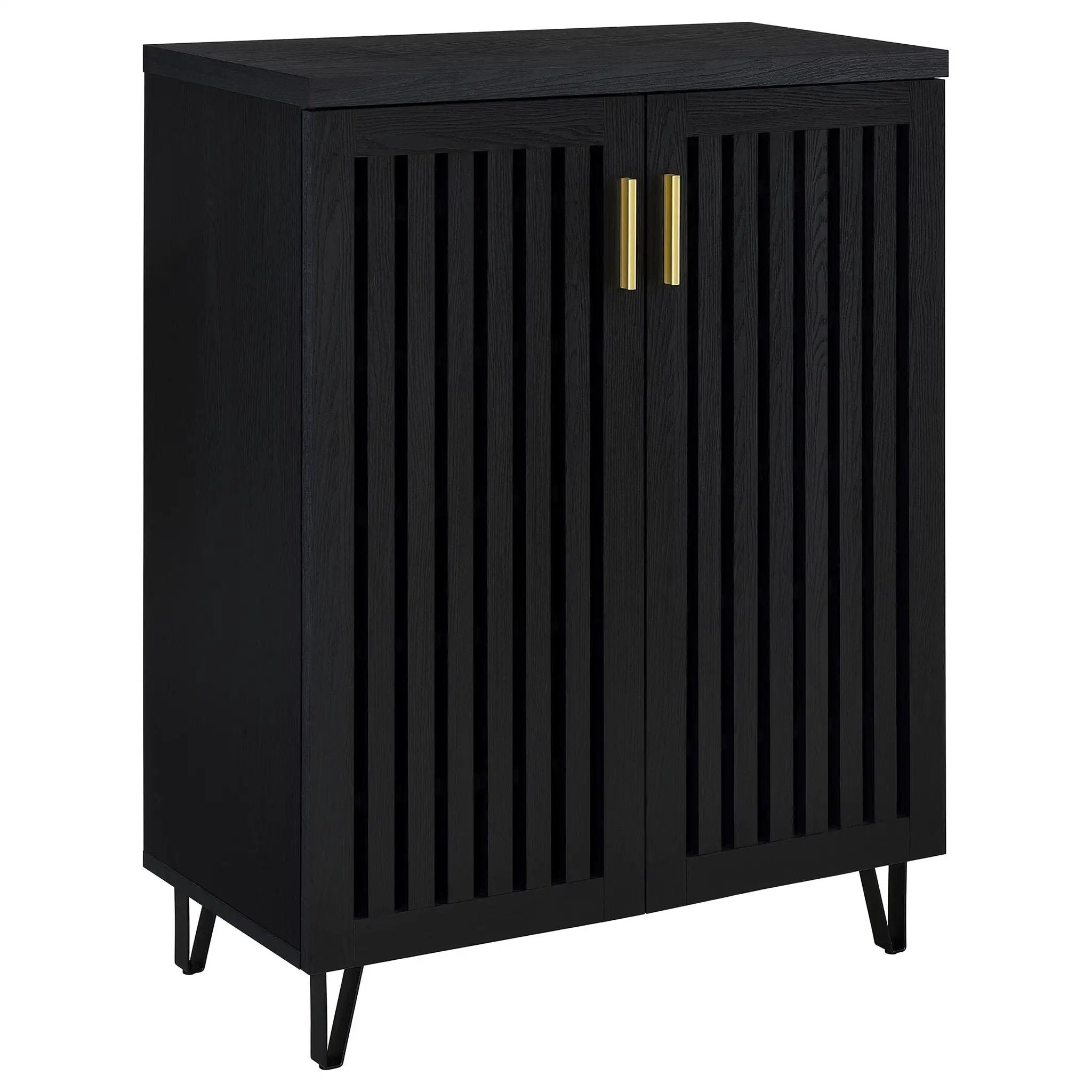 Brixton 2-door Entryway Shoe Storage Cabinets Black by Unique Piece Furniture