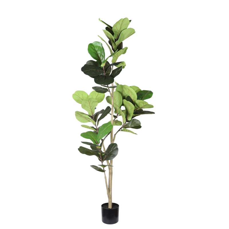 6Ft Real Touch Fake Fiddle Leaf Fig Tree In Pot by HouseOfZazla