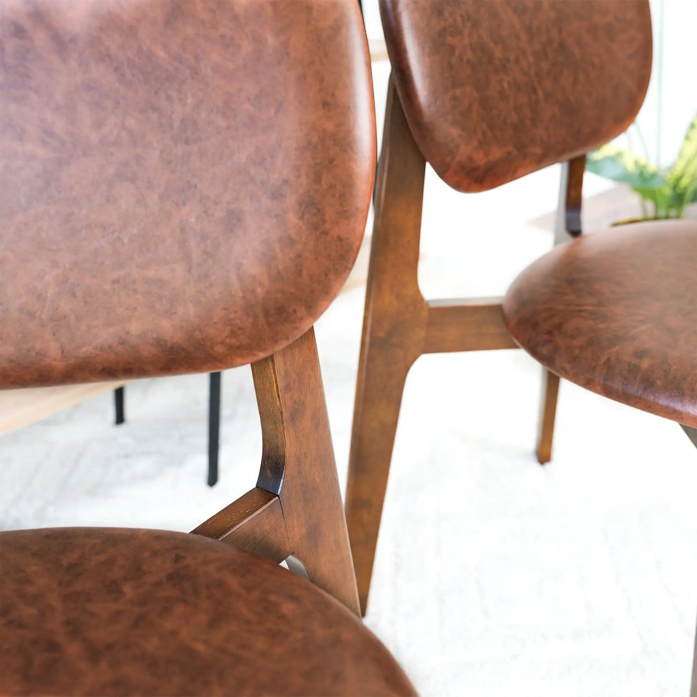 Kelsey - Stylish Dining Chair (Set of 2) by HouseOfZazla