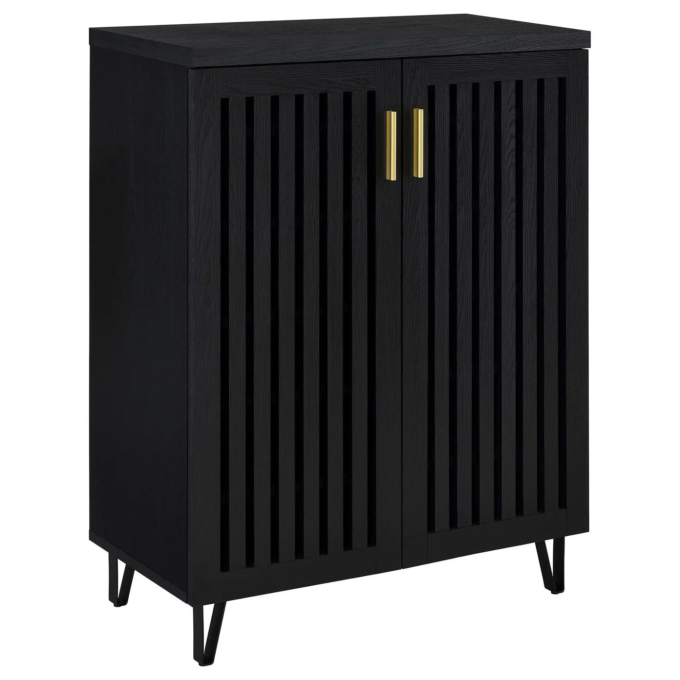 Clackamas - 2 Door Storage Cabinet With Adjustable Shelves by HouseOfZazla