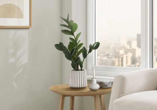 20" Tall Artificial ZZ Plant in Grey Cement Pot