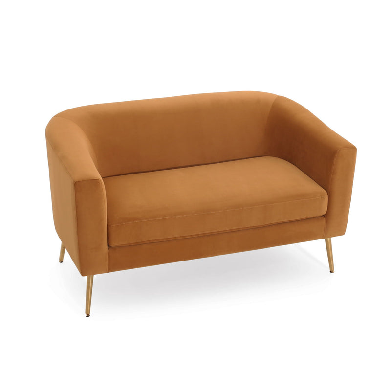 Modern Elegant Design Style Loveseat by HouseOfZazla