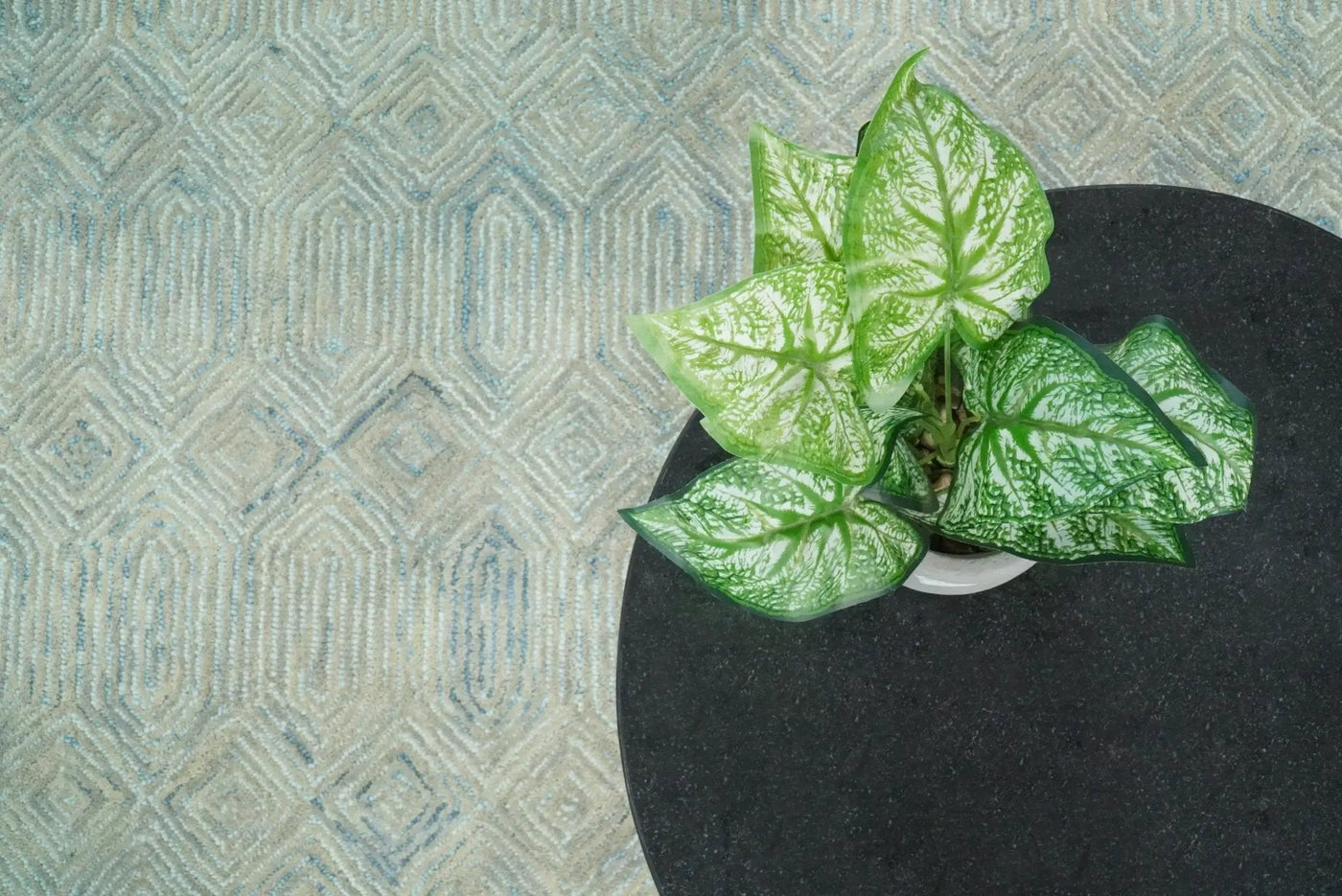 Beige Modern Style Hand Tufted Wool Area Rug by The Rug Decor