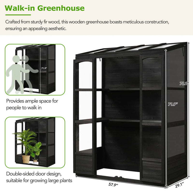 TOPMAX 78-inch Wooden Greenhouse Cold Frame with 4 Independent Skylights and 2 Folding Middle Shelves by HouseOfZazla