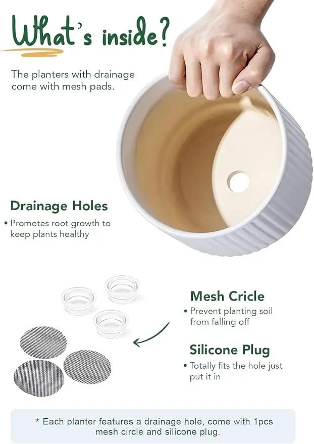LE TAUCI Ceramic Pots for Plants, 8+6.7+5.5 Inch Plant Pots Indoor, Flower Pot with Drainage Holes, Medium Cylinder Planters for Indoor House Plants, Set of 3, White by GreenHaven Gardens