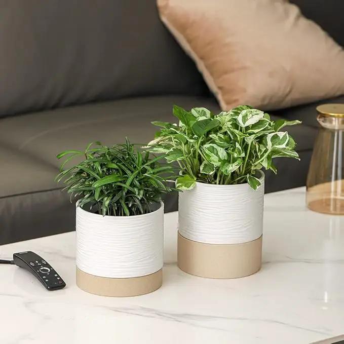 Nihow Ceramic Plant Pot: 6 Inch Planter with Drainage Hole & Saucer for Indoor & Outdoor Plants - Cylinder Round Flower Pot for Succulent/Herbs/Violets - White & Brown by GreenHaven Gardens