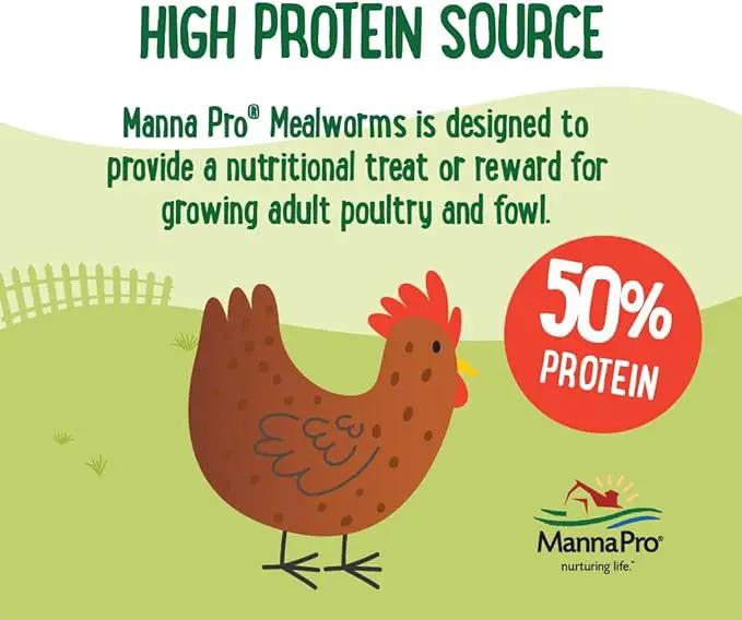 Manna Pro Mealworms Poultry Treat - High Protein, 100% Natural, 10oz by GreenHaven Gardens
