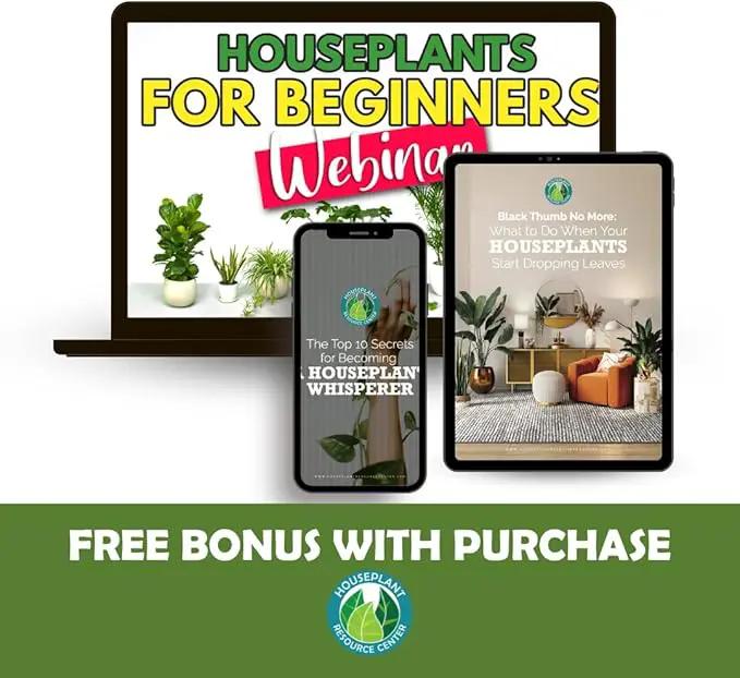 Stainless Steel Watering Can for Houseplants by Houseplant Resource Center | 1L Capacity for Indoor/Outdoor Plants in Brushed Silver by GreenHaven Gardens