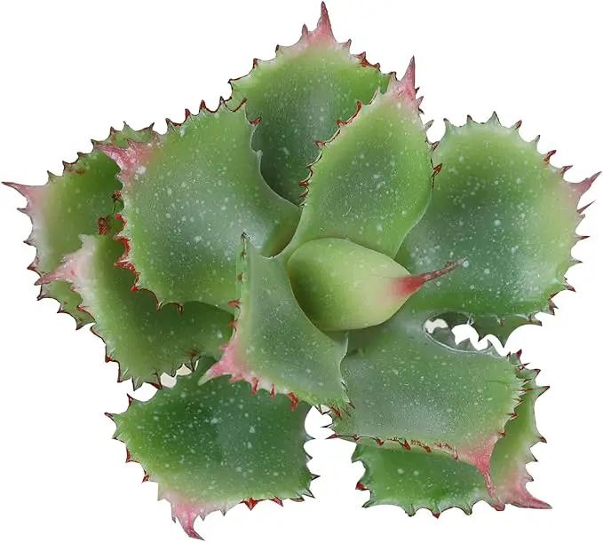 Duovlo Artificial Succulent Plant 7.08 Inch Faux Succulents Agave potatorum Flower Arrangement Craft Wall DIY Materials Pack of 2 (Green) by GreenHaven Gardens