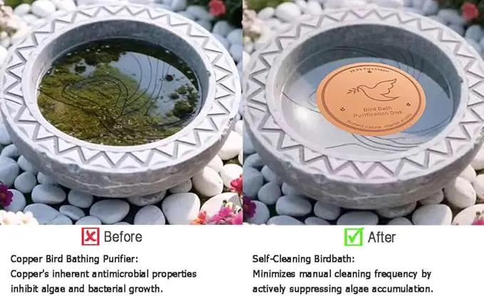 2Pack Bird Bath Copper Purification Disk | 0.6mm Reinforced 99.9% Pure Copper | Universal Fit for Outdoor Birdbaths(Birdbath Copper 2 Pack) by GreenHaven Gardens