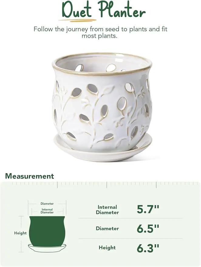 LE TAUCI Ceramic Orchid Pot, 6.5 Inch Orchid Pots with Holes, Orchid Planter for Repotting, Indoor Flower Plant Pot with Drainage and Saucer, Arctic White by GreenHaven Gardens