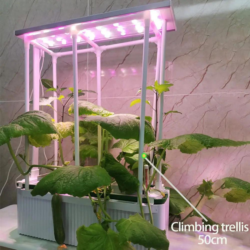 Large Hydroponics Growing System kit with Trellis,Smart Indoor Hydroponic Gardening System with LED Grow Light, Indoor Hydroponic Grow Kit for Tomato,Pepper,Cucumbers(7L,Pump) by GreenHaven Gardens