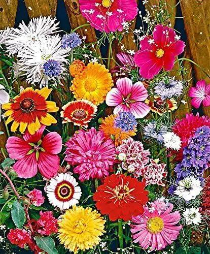 Dirt Goddess Super Seeds ~ Cut Flower Mix Seed (1/4 Lb) by GreenHaven Gardens