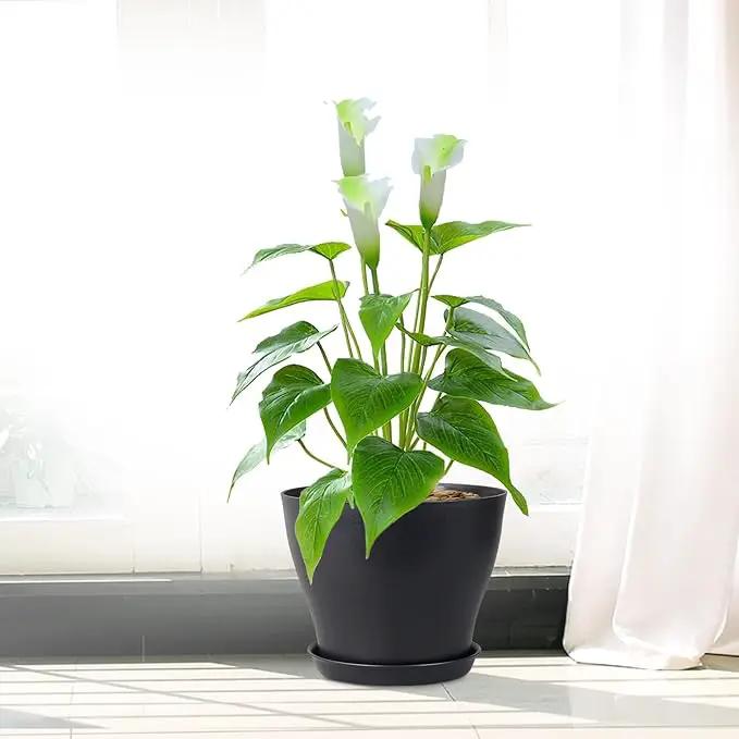 6 inch Plastic Nursery Pots, Seedling Pots, 16 Pack Plant Pots for Small Indoor Outdoor Plants, Flower Pots with Drainage Holes and Saucers, Decorative Planters for House Plants, Black by GreenHaven Gardens