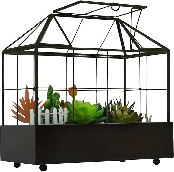 Large Tall Plant Terrarium Glass Greenhouse with Lid and Tray, Indoor Tabletop Orchid Succulent Cacti Kit 9.5'X9.8'X5.6' by GreenHaven Gardens