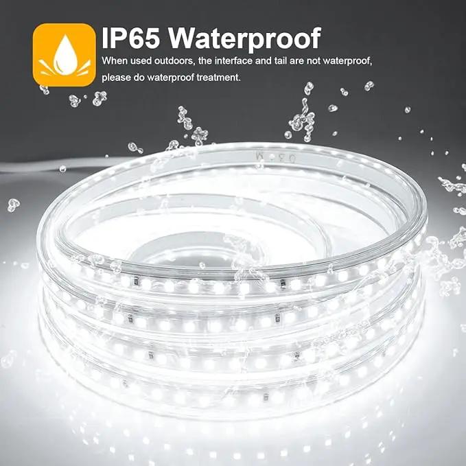 Outdoor LED Strip Lights Waterproof 6500K,98.4ft/30M IP65 High Density LED Tape Light,3600 LEDs/Reel Rope Lights for Home, Balcony, Roof, Backyard, Patio, Garden by GreenHaven Gardens