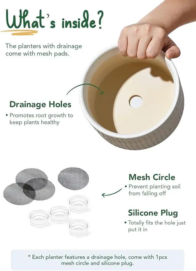 LE TAUCI Succulent Pots, 6.5+8 Inch Ceramic Indoor Plant Pot with Drainage Hole, Modern Round Decorative Flower Pot, Set of 2, Matte White by GreenHaven Gardens