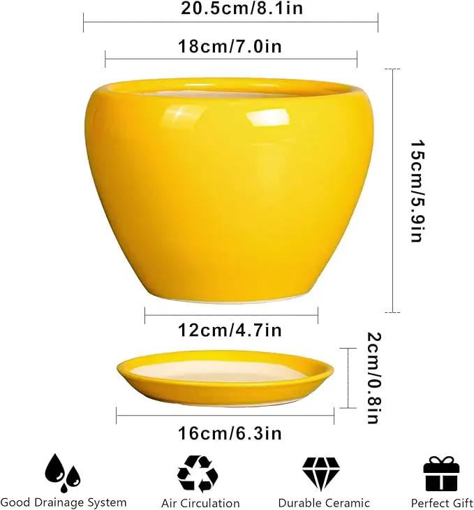 8 Inch Plant Pot - Glaze Modern Round Ceramic Planter for Indoor Outdoor Plants with Drainage Hole and Saucer for Home Patio Room Office Decor, Yellow by GreenHaven Gardens