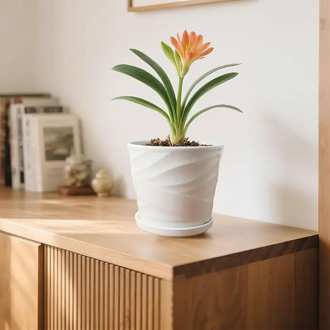 8 Inch Plant Pot, Ceramic Planter with Drainage and Saucer, Ceramic Pots for Plants, Indoor Plant pots,Succulent Orchid Flower Pot(Pure White) by GreenHaven Gardens