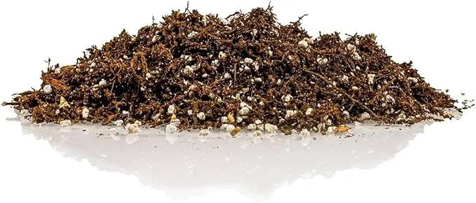 Fern + Perlite Soil Mix for Repotting and Planting Succulents and Cactuses - 5 Quart Bag by GreenHaven Gardens